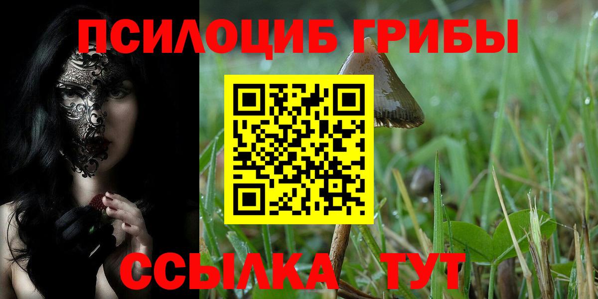 Галлюциногенные грибы Psilocybe  Псилоцибиновые грибы ЛСД  Евпатория  Вход с VPN 