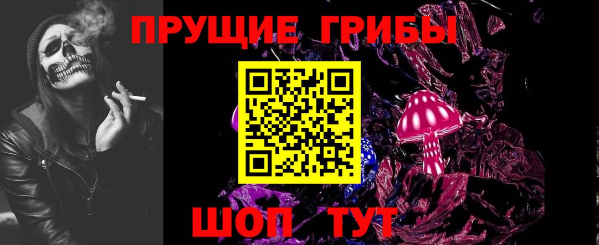 Галлюциногенные грибы Psilocybe Евпатория